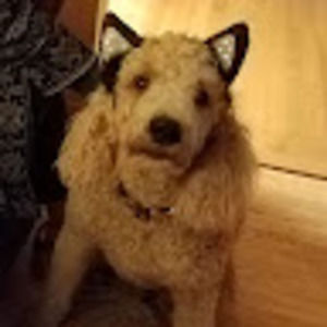 Meet your Posher, Laura